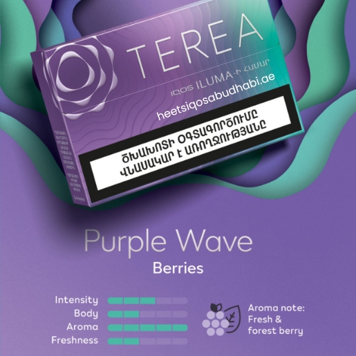 Heets TEREA Purple Wave from Armenia