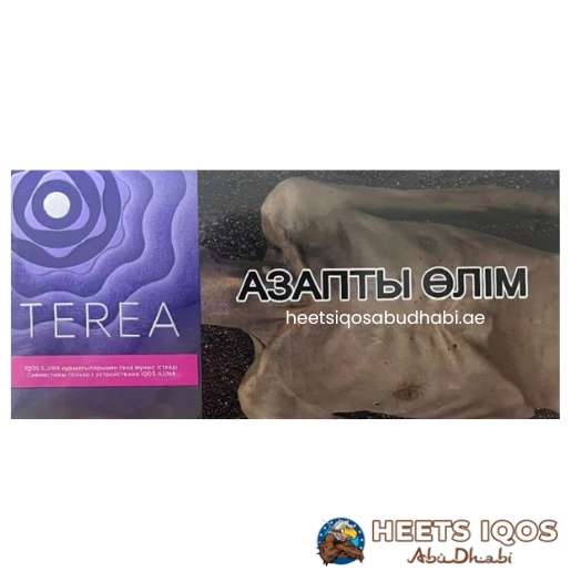 Heets TEREA Twilight Pearl from Kazakhstan